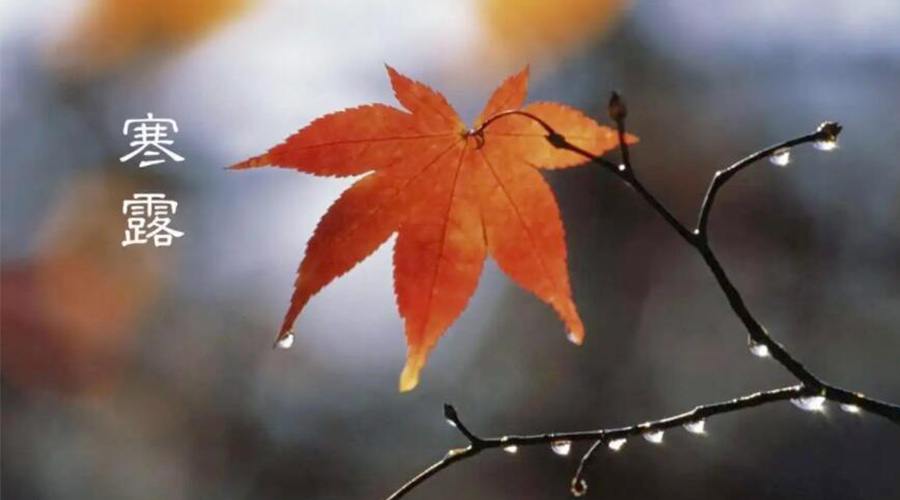 寒露時(shí)節(jié)！金環(huán)電器提醒大家要注意的事項(xiàng)