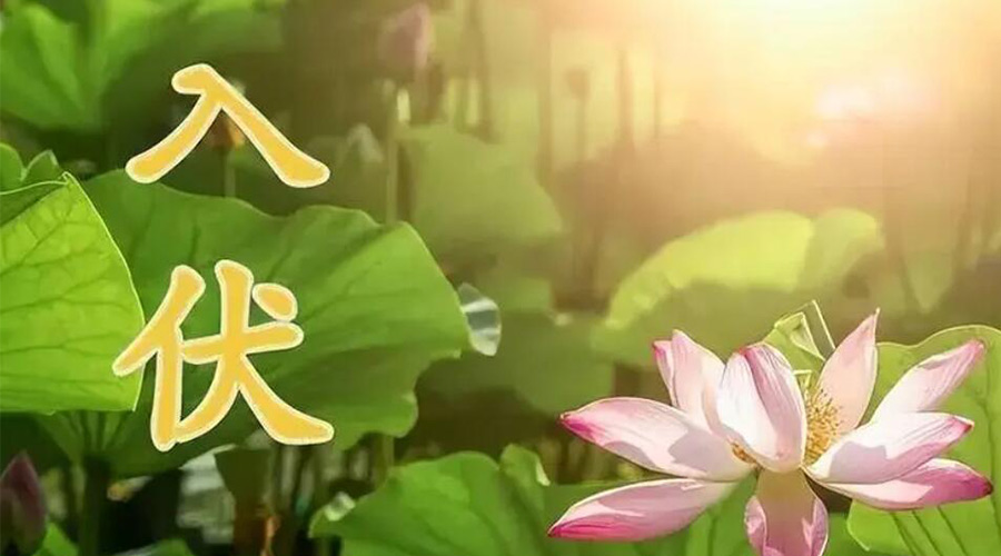 入伏天來襲！金環(huán)電器提醒大家要注意的事項(xiàng)