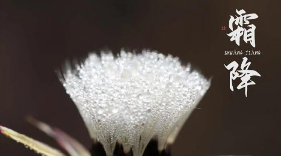 霜降時(shí)節(jié)！金環(huán)電器提醒大家要注意的事項(xiàng)