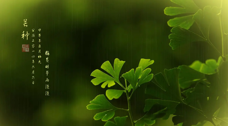 芒種時節(jié)！金環(huán)電器提醒大家的注意事項