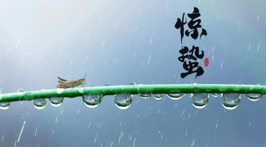 驚蟄時(shí)節(jié)！金環(huán)電器提醒大家干衣要注意這些