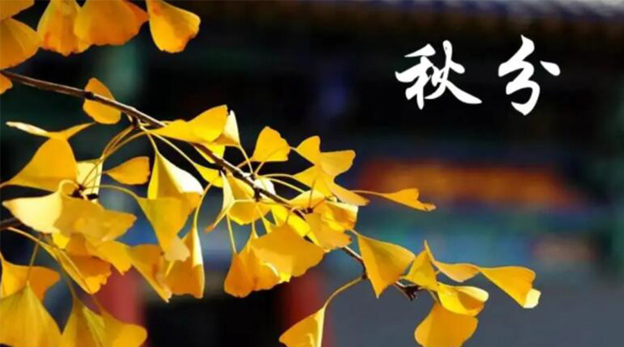 秋分時(shí)節(jié)！金環(huán)電器提醒大家要注意的事項(xiàng)