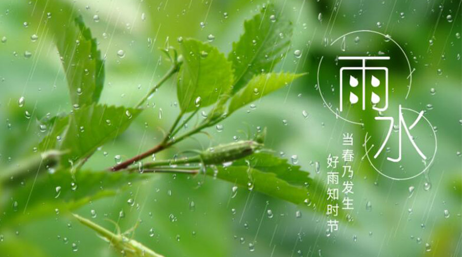 雨水時(shí)節(jié)！金環(huán)電器提醒大家要注意的事項(xiàng)
