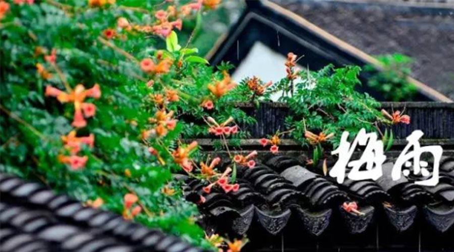 什么是梅雨？梅雨如何形成？  金環(huán)電器告訴你答案